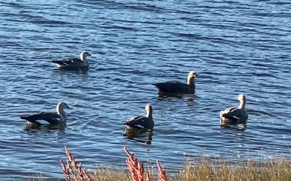 Captura de Pantalla 2024-02-16 a la(s) 13.37.43