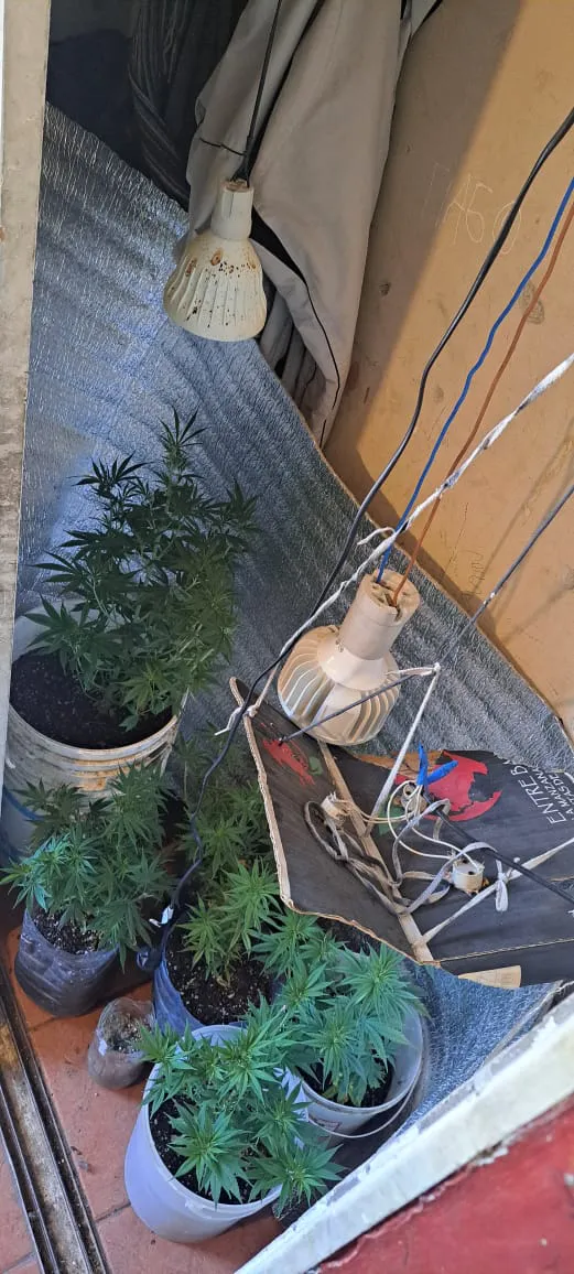 PHOTO-2025-08-22-07-42-46 2