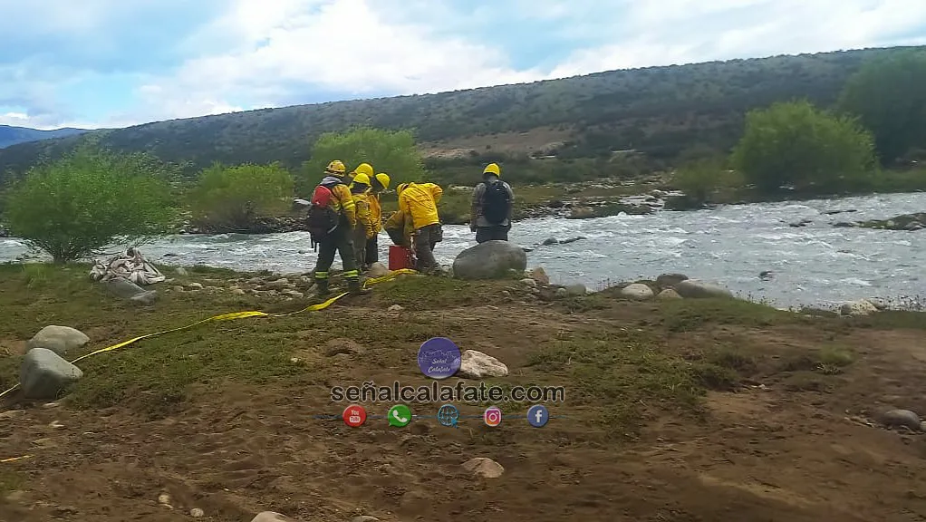 WhatsApp Image 2024-11-25 at 14.03.47