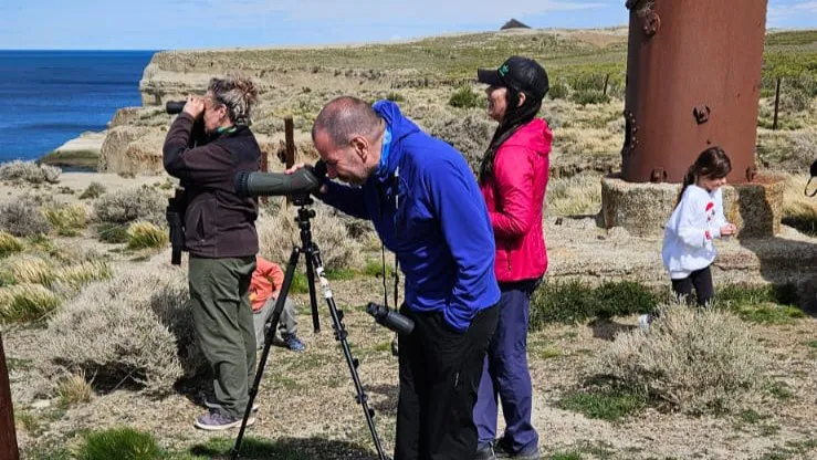 October Big Day en Monte León_ el registro de aves