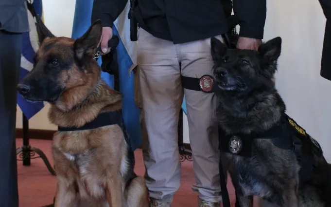 Captura de Pantalla 2024-05-23 a la(s) 18.49.33