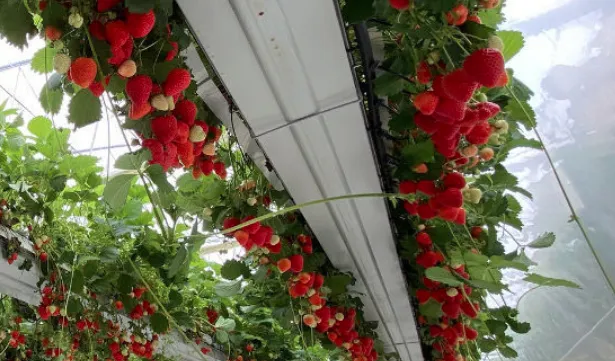 Captura de Pantalla 2024-12-05 a la(s) 14.44.26