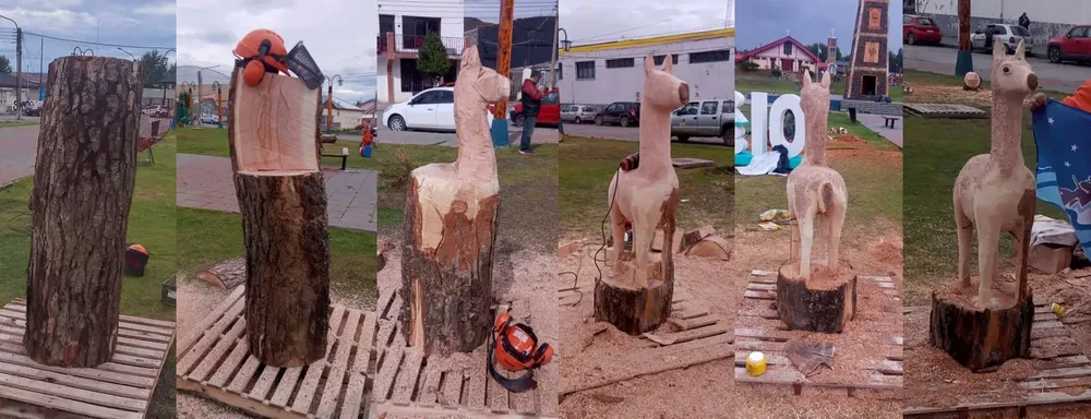 tranformacion del tronco