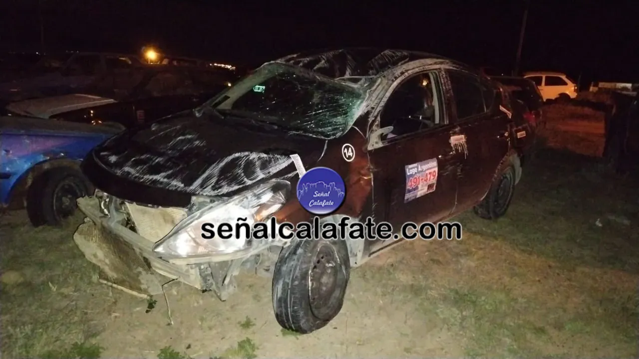 WhatsApp Image 2025-11-08 at 10.13