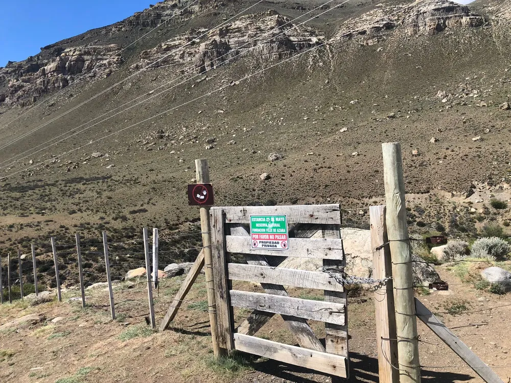 WhatsApp Image 2024-11-15 at 16.17.41