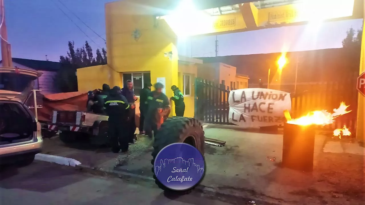 WhatsApp Image 2023-04-03 at 08.39