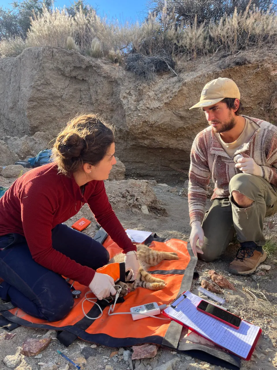 02386e56-0d12-43b9-9393-5e38eb96a01c