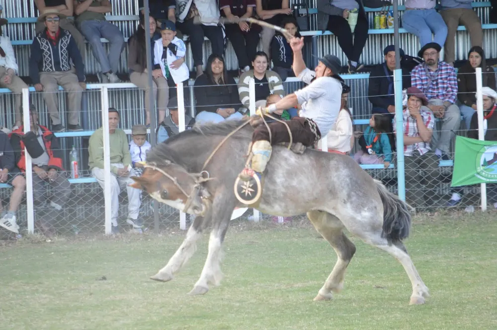 Jesus Maria 2027 - Gregores (3)