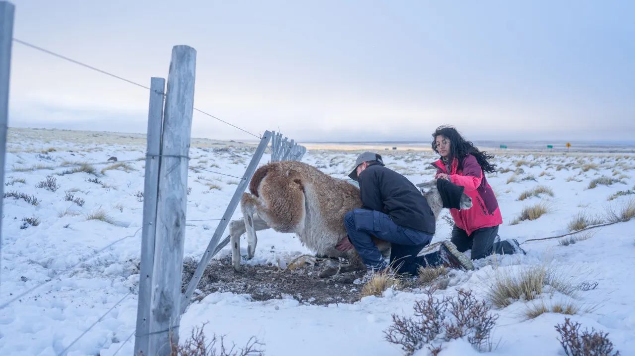 59a24734-900d-44d3-9d4a-5b688e586661