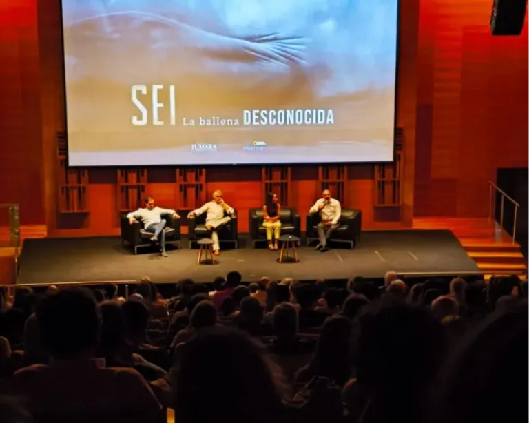 120f5611-877b-4961-8417-81e8989e3b67-768x1024