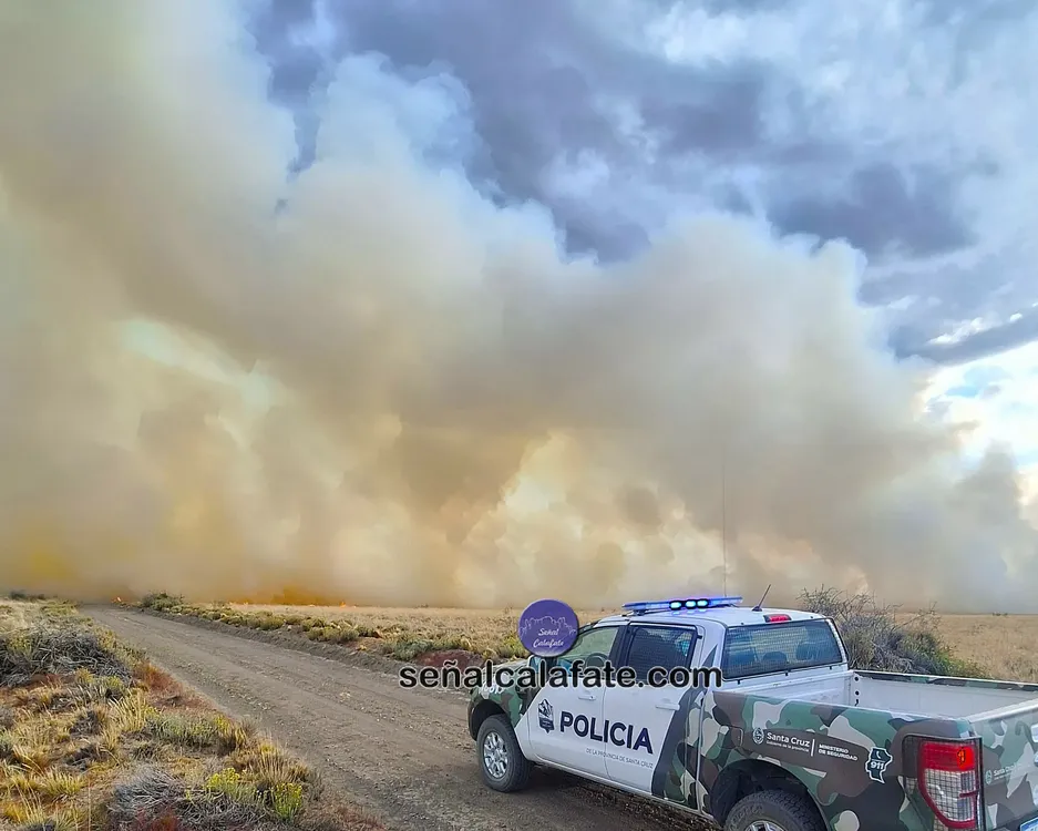 WhatsApp Image 2025-03-02 at 19.07.30~1