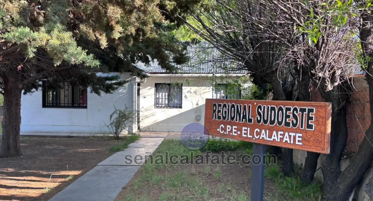 WhatsApp Image 2025-12-17 at 08.04