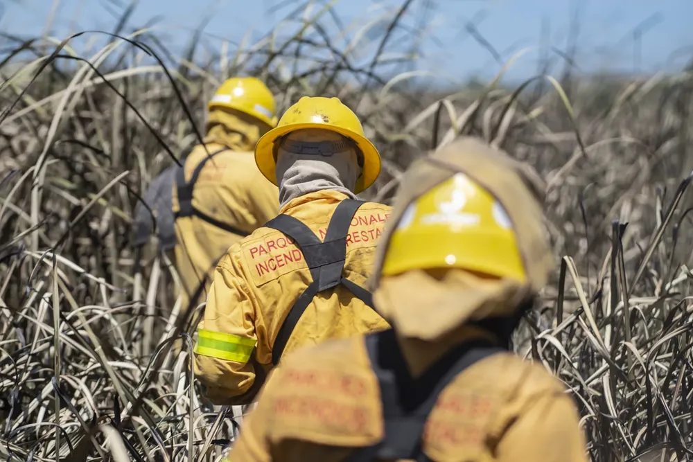 brigadistas_apn_en_incendios_delta_02
