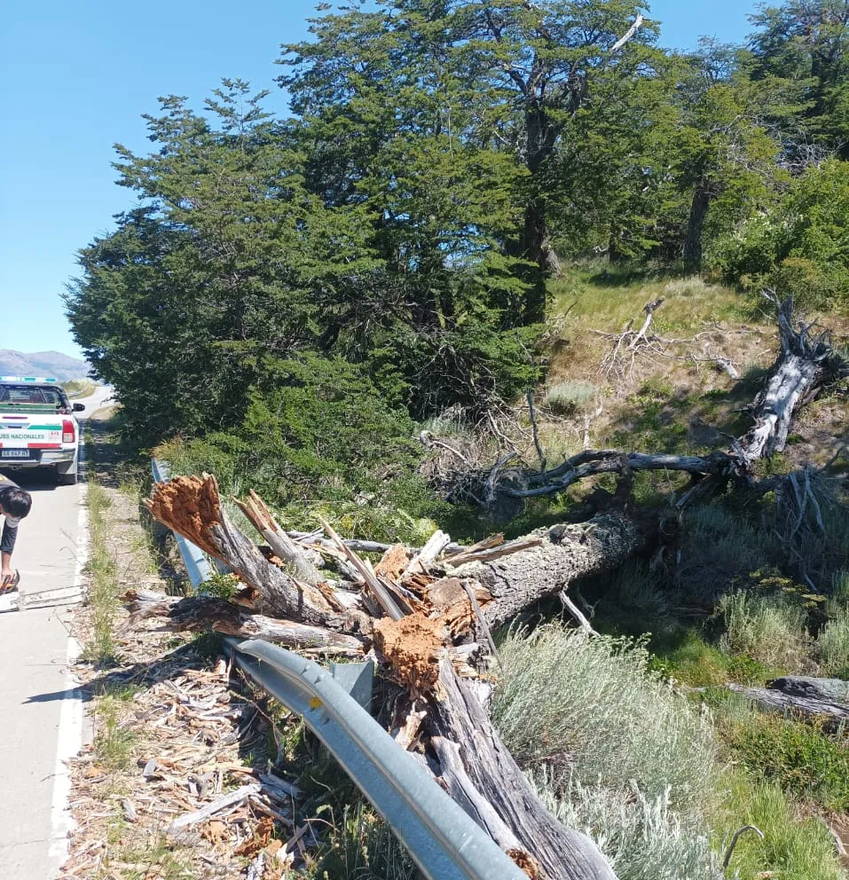 WhatsApp Image 2023-12-27 at 17.56.29