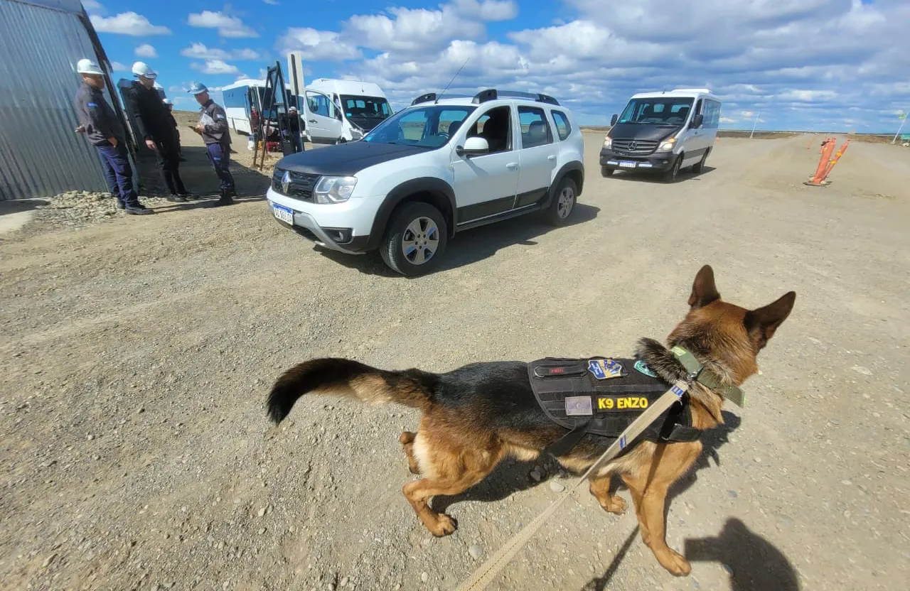 WhatsApp Image 2023-10-20 at 20.11.34 (1)