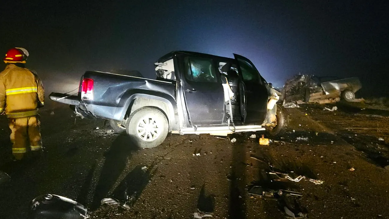 WhatsApp Image 2024-09-19 at 09.55.20