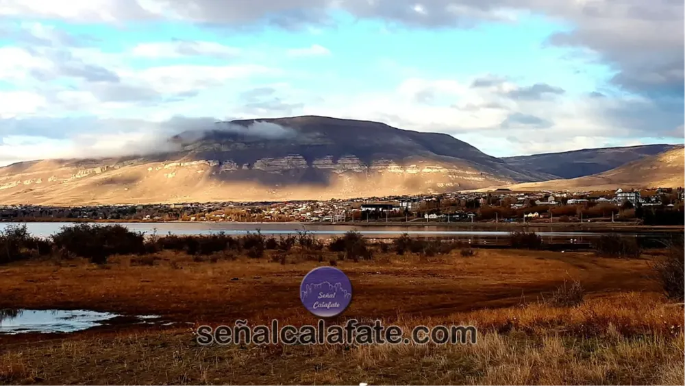 CALAFATE