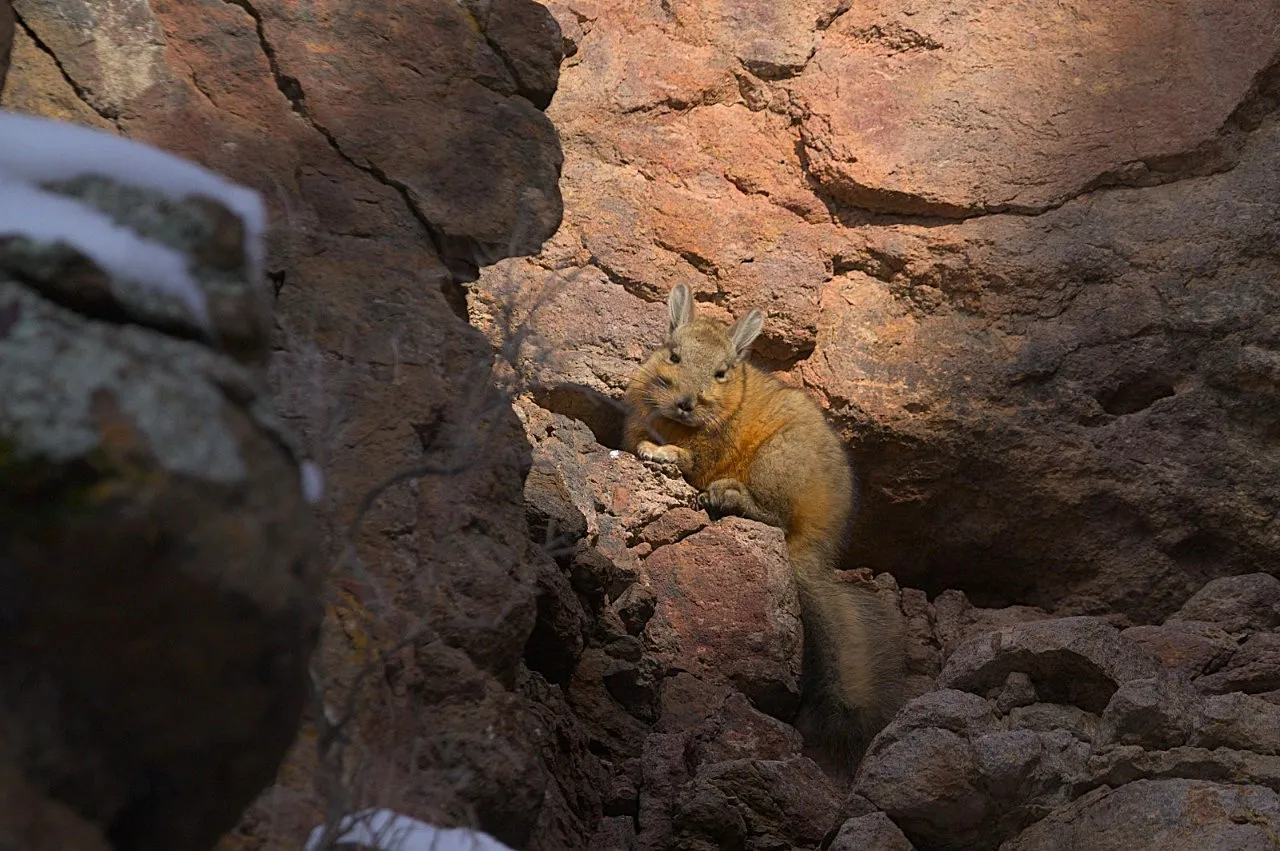 1a81304e-dccd-40b9-92ce-fbc34055788a