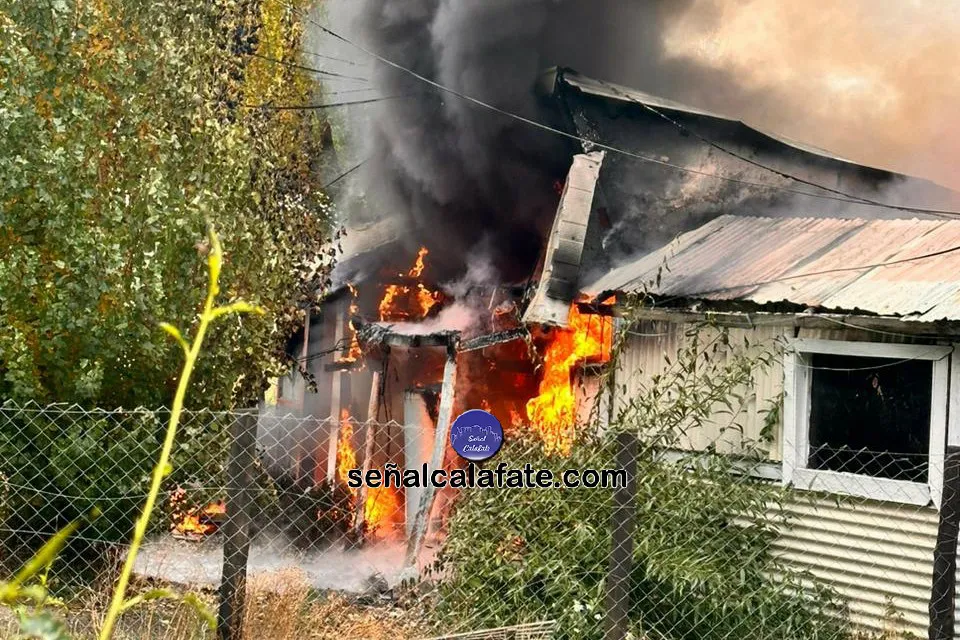 WhatsApp Image 2024-04-14 at 11.04.27 (1)