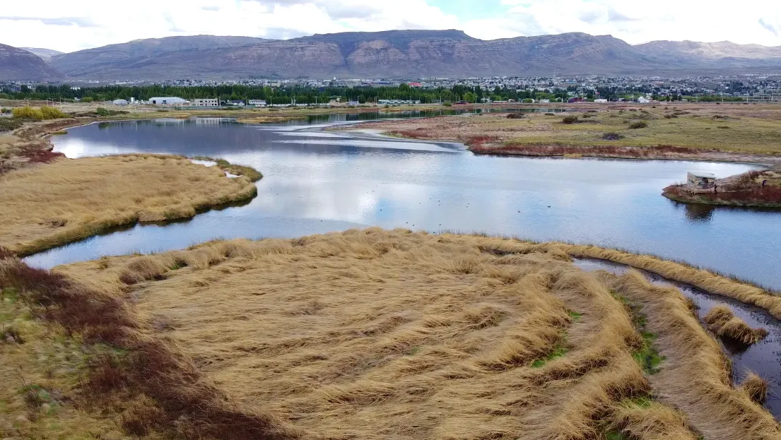 Captura de Pantalla 2024-02-02 a la(s) 15.45.04