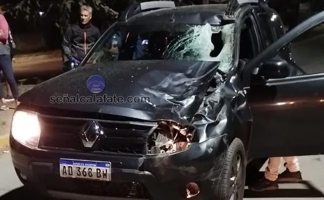 PHOTO-2024-04-16-21-08-01