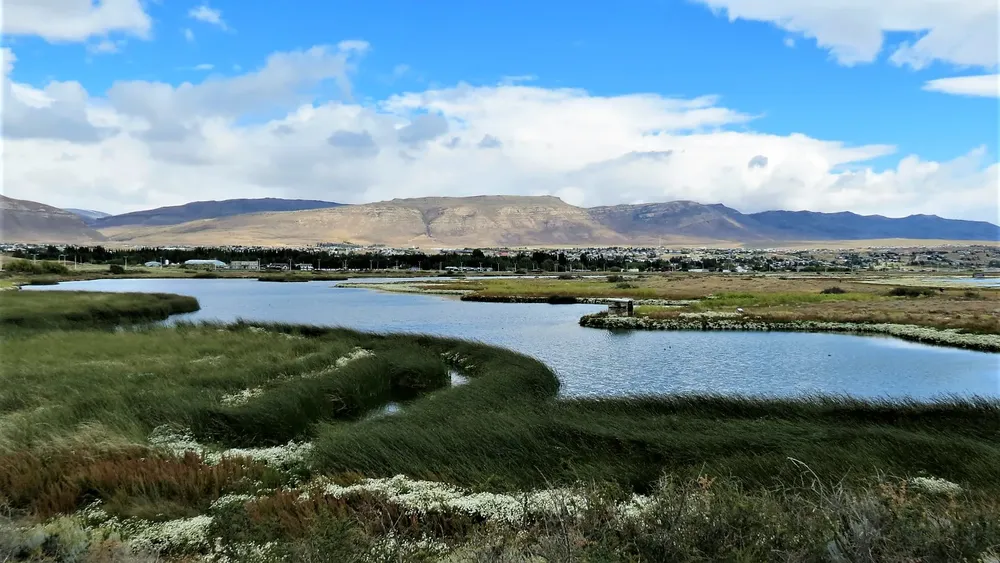 271732726_5251640261535729_6044178623924656331_n