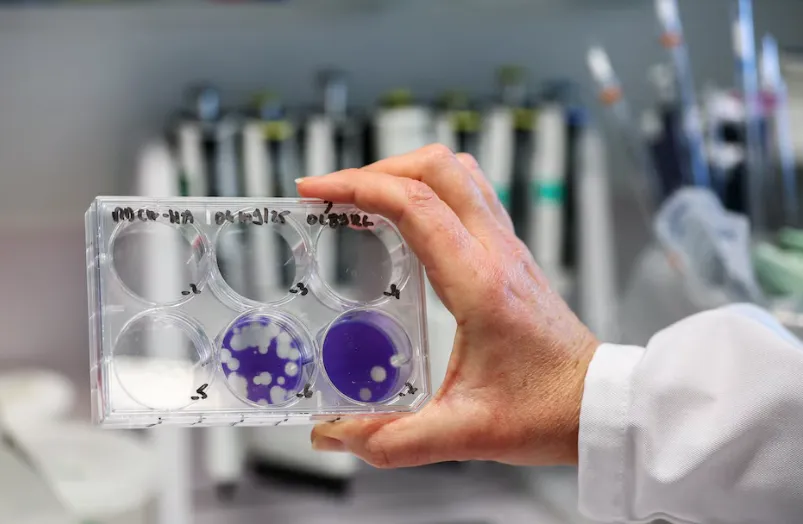 Captura de Pantalla 2025-12-19 a la(s) 16.39.45