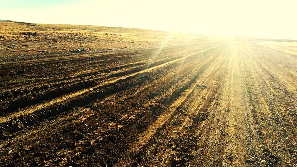 34087916_385657808603888_2564571697390813184_n