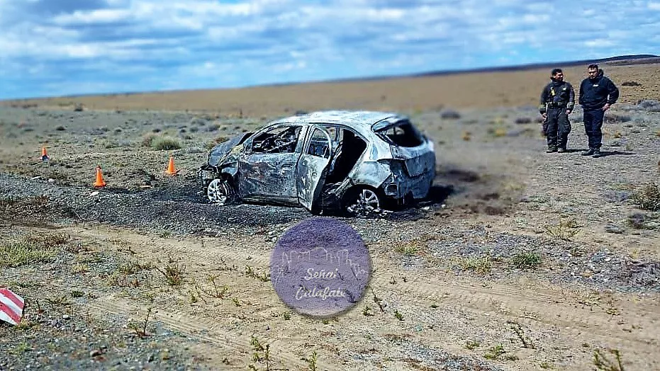 WhatsApp Image 2022-12-19 at 10.12.18~2