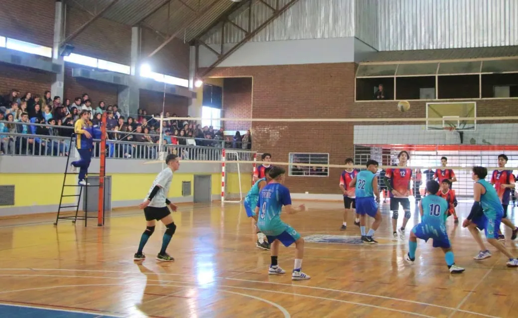 voley