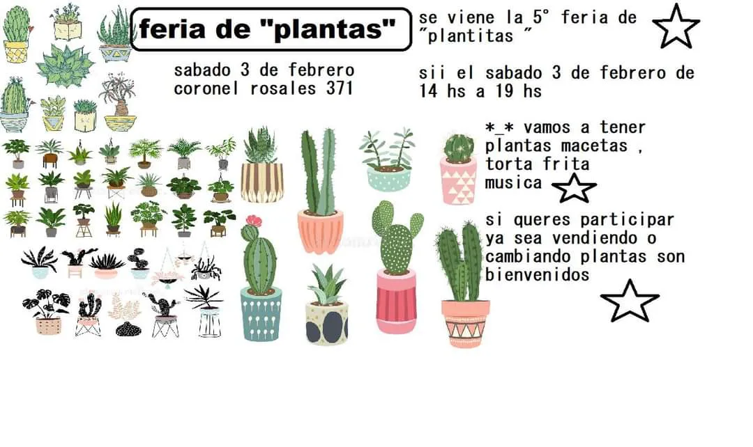 WhatsApp Image 2024-01-31 at 21.25.40(1)