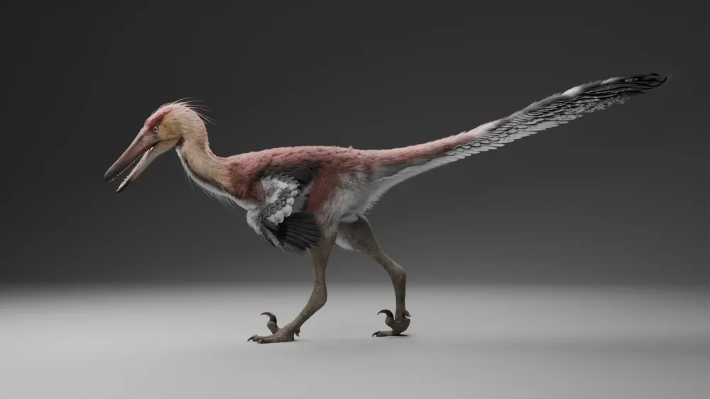 Kank Reconstrucción. Gabriel Díaz Yantén