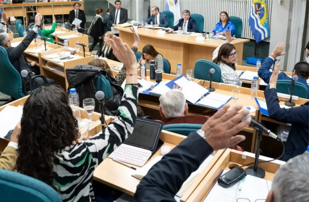 Diputados SC