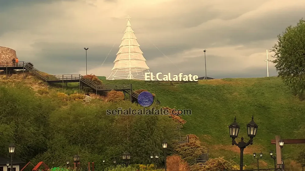 WhatsApp Image 2023-12-03 at 23.00.41 (1)