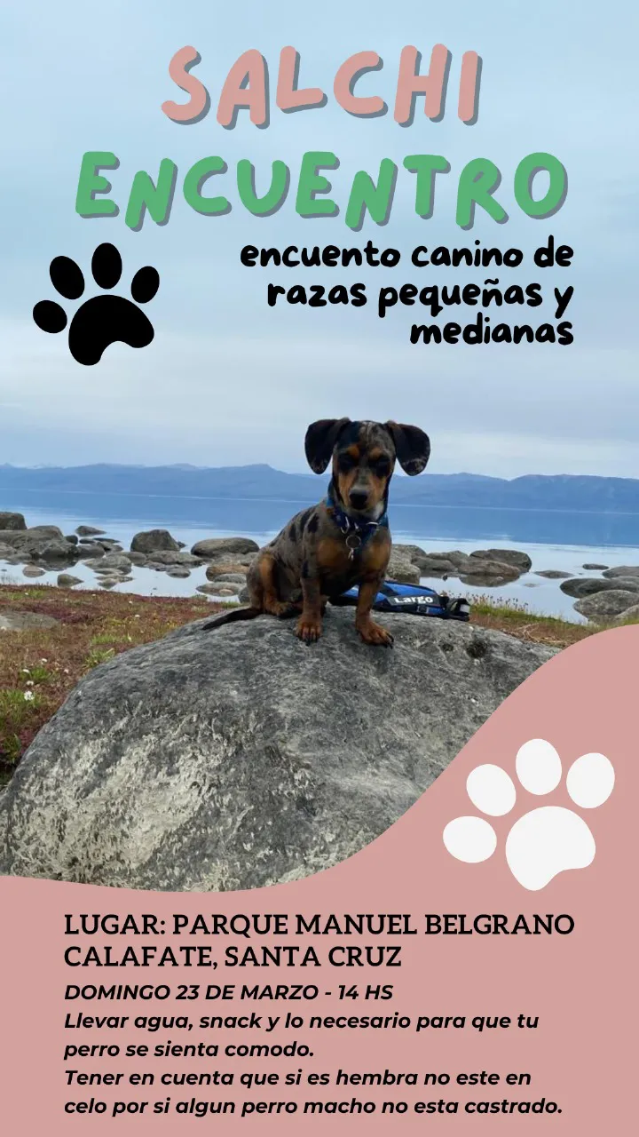 SALCHI ENCUENTRO