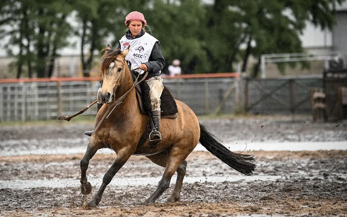 WhatsApp Image 2025-11-01 at 20.19.54 (2)