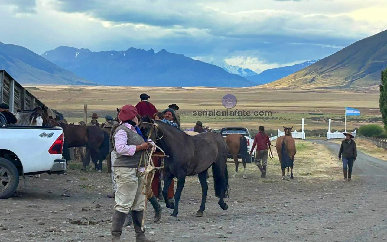 PHOTO-2026-01-21-11-55-35 2