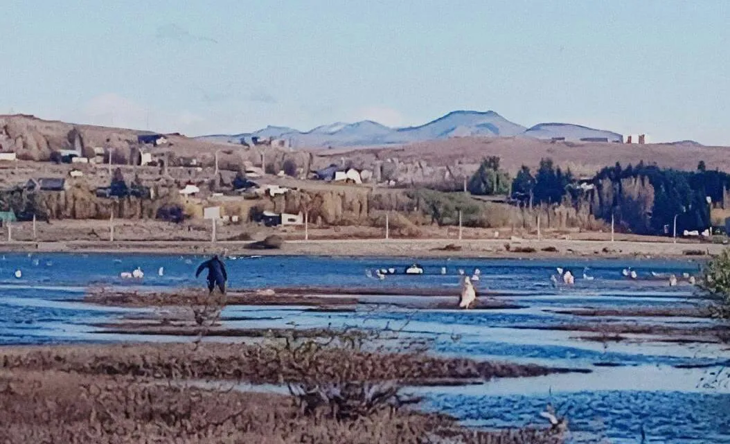 WhatsApp Image 2023-05-07 at 17.05.56