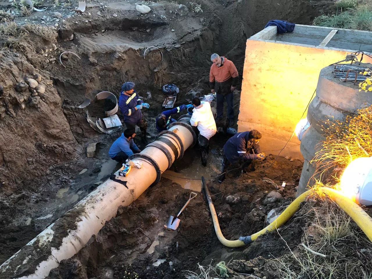 WhatsApp Image 2023-02-06 at 07.08.06 (1)