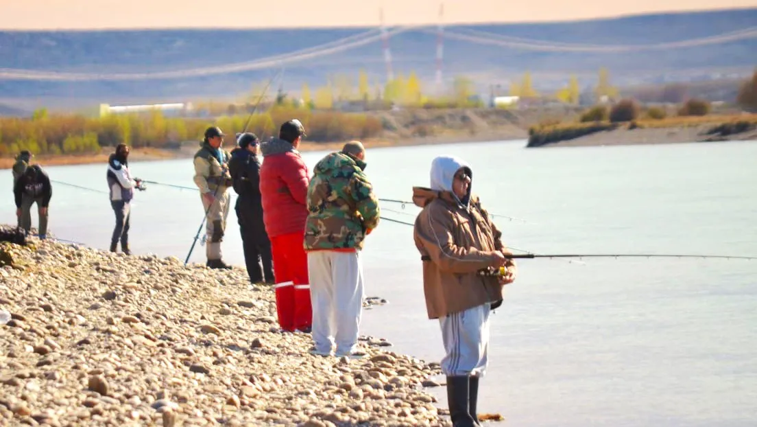 309054557_474941014664878_3221572134786762442_n