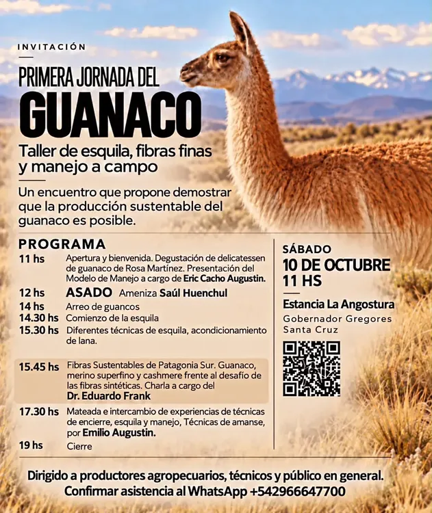 FL GUANACO