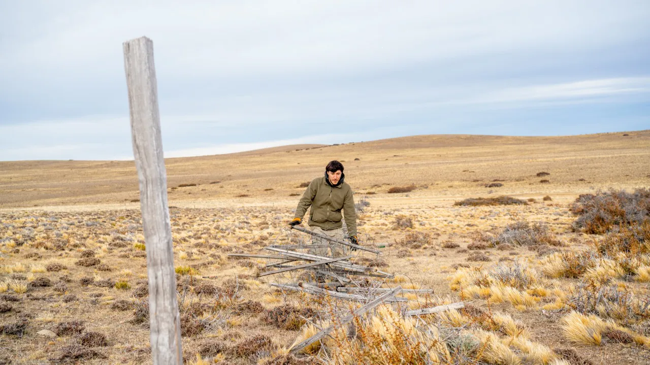 1737d4cf-66de-4032-ad9c-c8c42a7eff6f