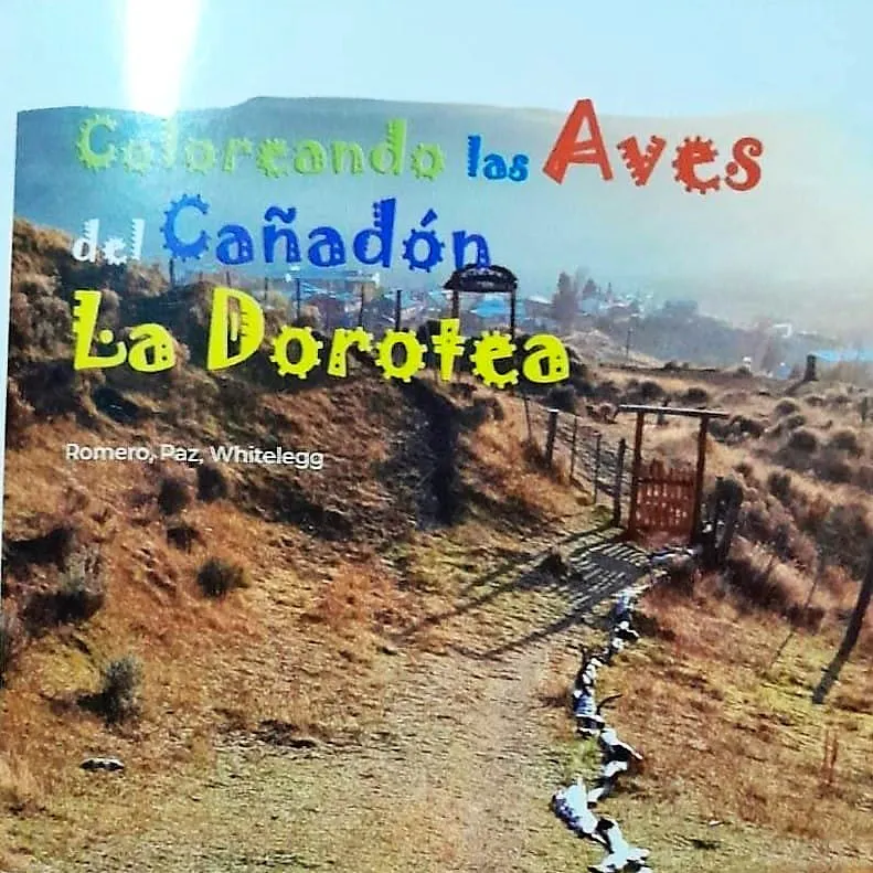 346848583_941538977090500_2055862243508284591_n