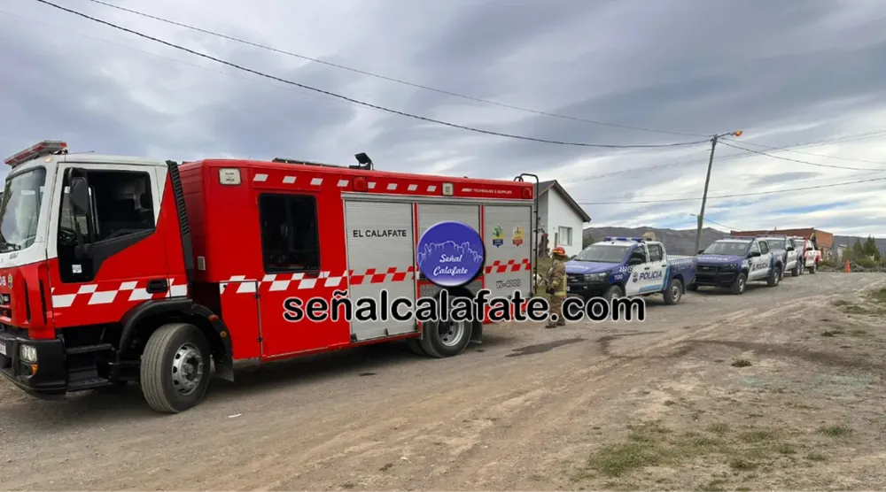 WhatsApp Image 2025-11-08 at 18.34