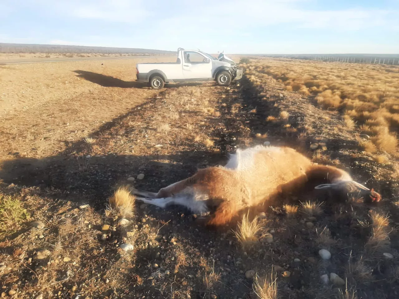 WhatsApp Image 2023-04-02 at 17.40.39