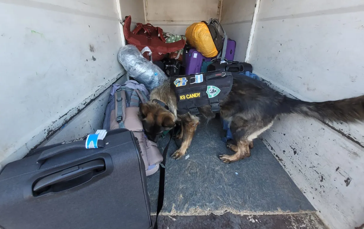 WhatsApp Image 2024-01-26 at 22.50.24