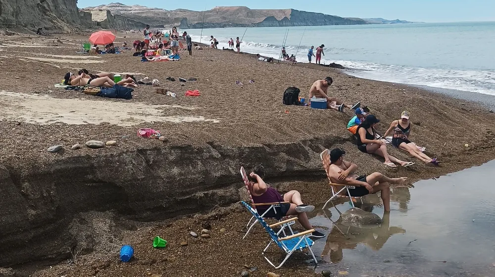 5 Visitantes en PN Monte León