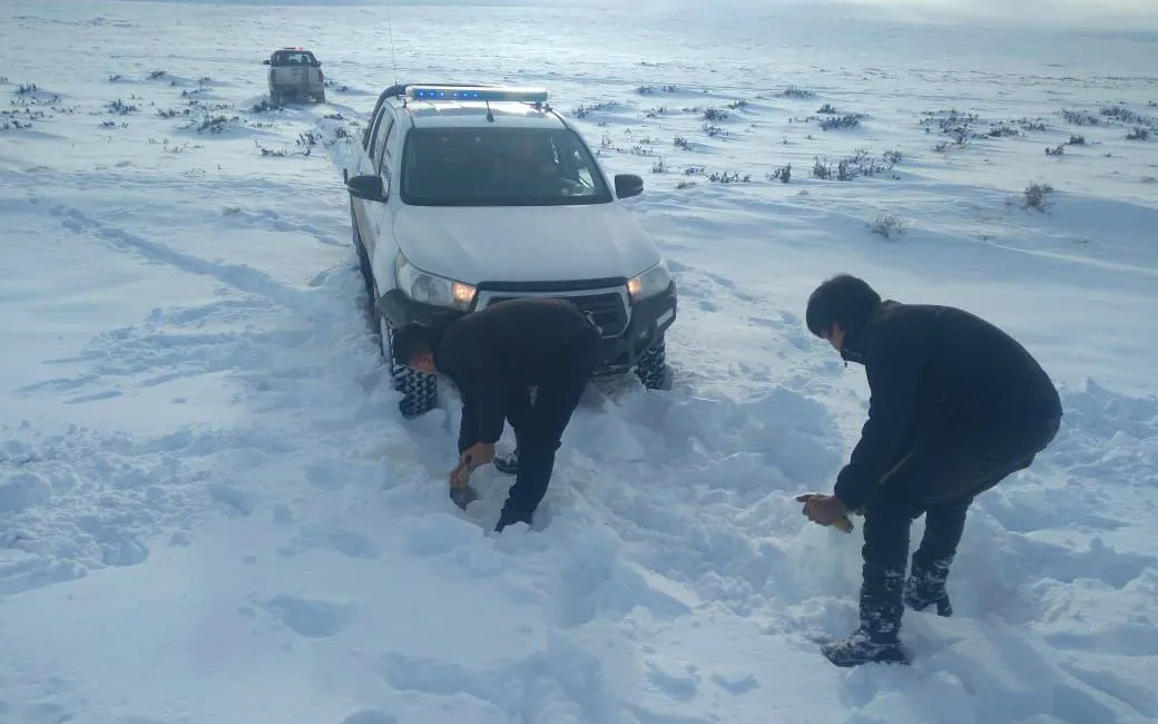 WhatsApp Image 2024-06-27 at 20.47.50 (2)