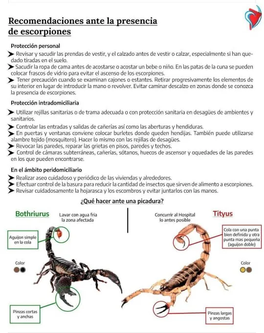 Cuidados con el Escorpion