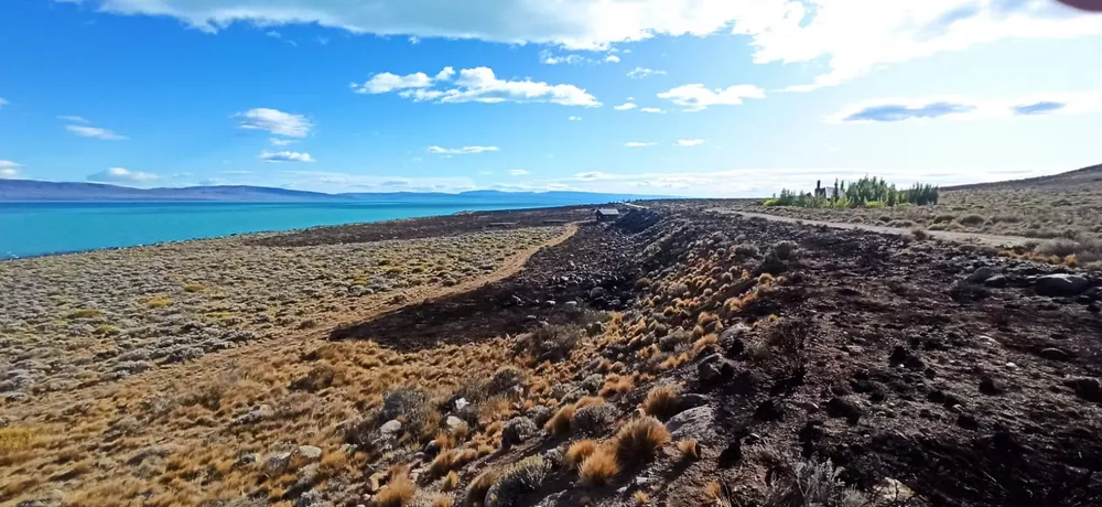 WhatsApp Image 2022-12-18 at 09.54.06